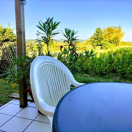 Maison Charmante A Saint-Satur Avec Jardin Et Terrasse エクステリア 写真