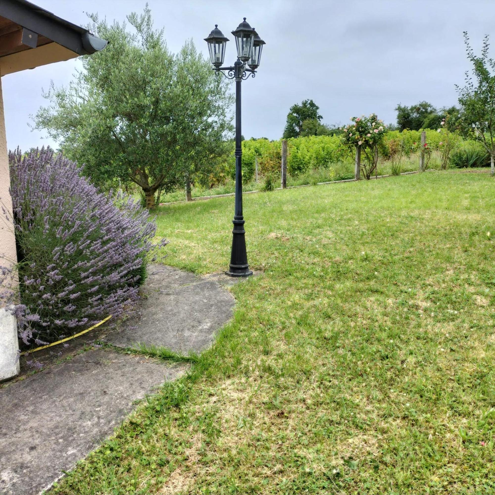 Maison Charmante A Saint-Satur Avec Jardin Et Terrasse エクステリア 写真
